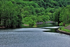 新緑のサッポロ湖