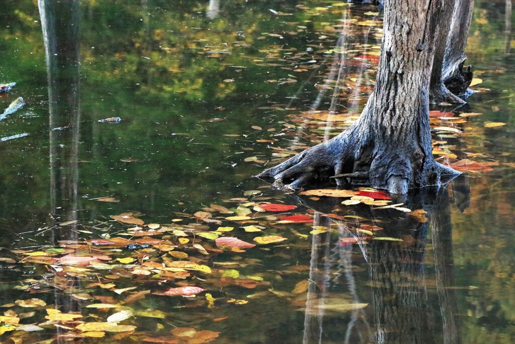 赤井川落合ダムⅢ