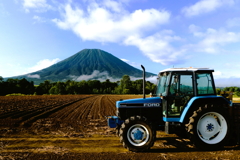 羊蹄山とトラクタ－