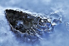 氷の世界Ⅵ(熊の足跡？）