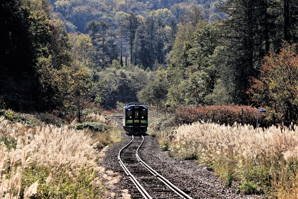 北の旅人(函館本線山手線）