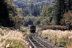 北の旅人(函館本線山手線）