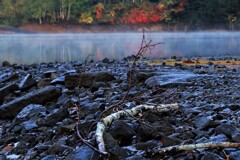 赤井川落合ダムⅣ