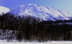 羊蹄山 羊蹄山