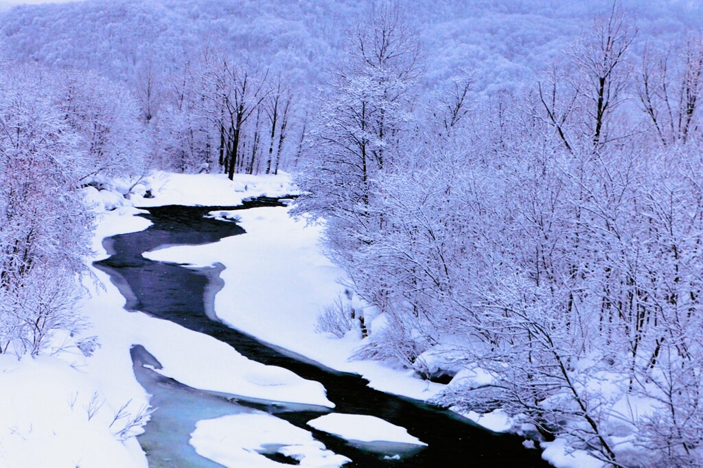 余市川上流Ⅱ（蔵出）