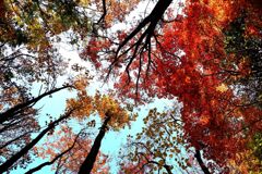 それぞれの秋♪