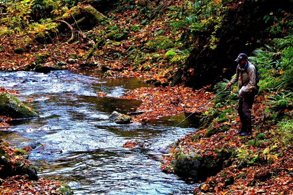 晩秋の釣り人
