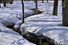 雪解け 雪解け