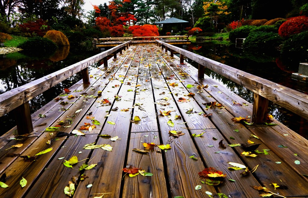 百合が原公園日本庭園