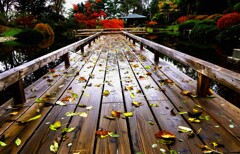 百合が原公園日本庭園