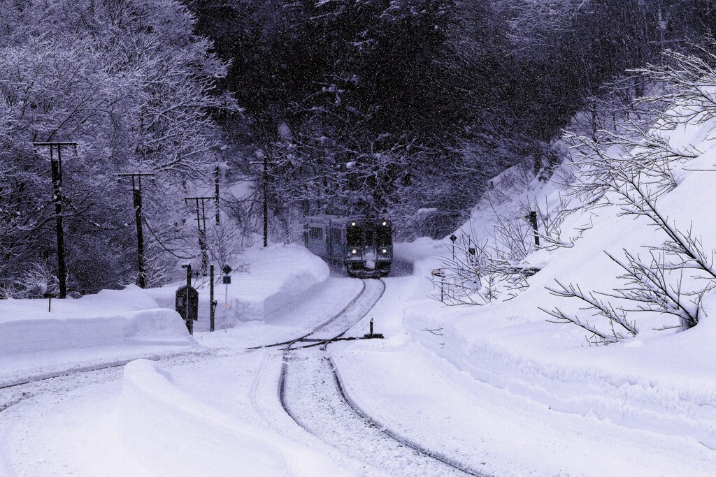 北の旅人（蔵出）