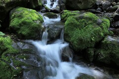 定山渓の渓流