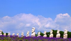 モアイ像とラベンダ－（滝野霊園）