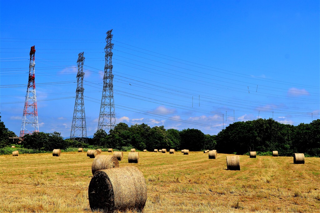 牧草ロ－ルと特高