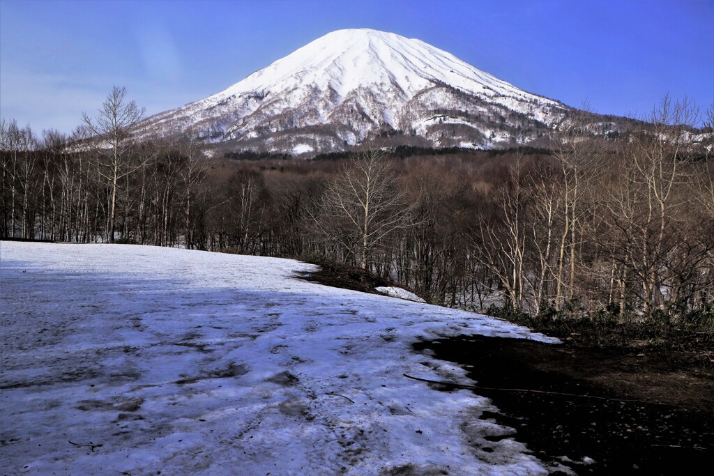 雪解け(羊蹄山）