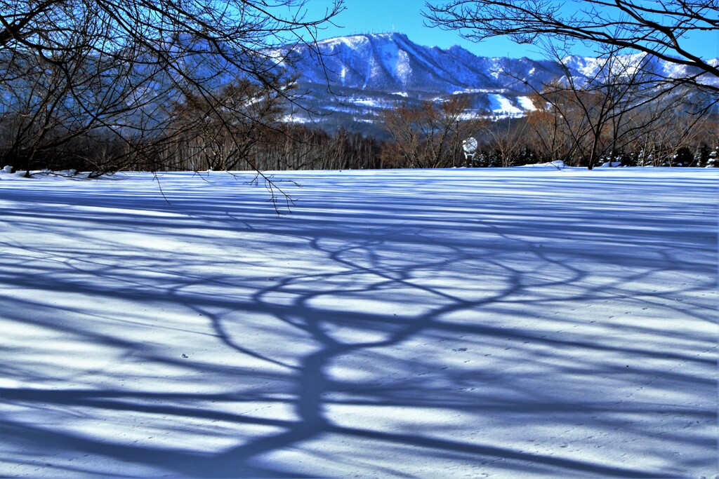白雪に潜みし影