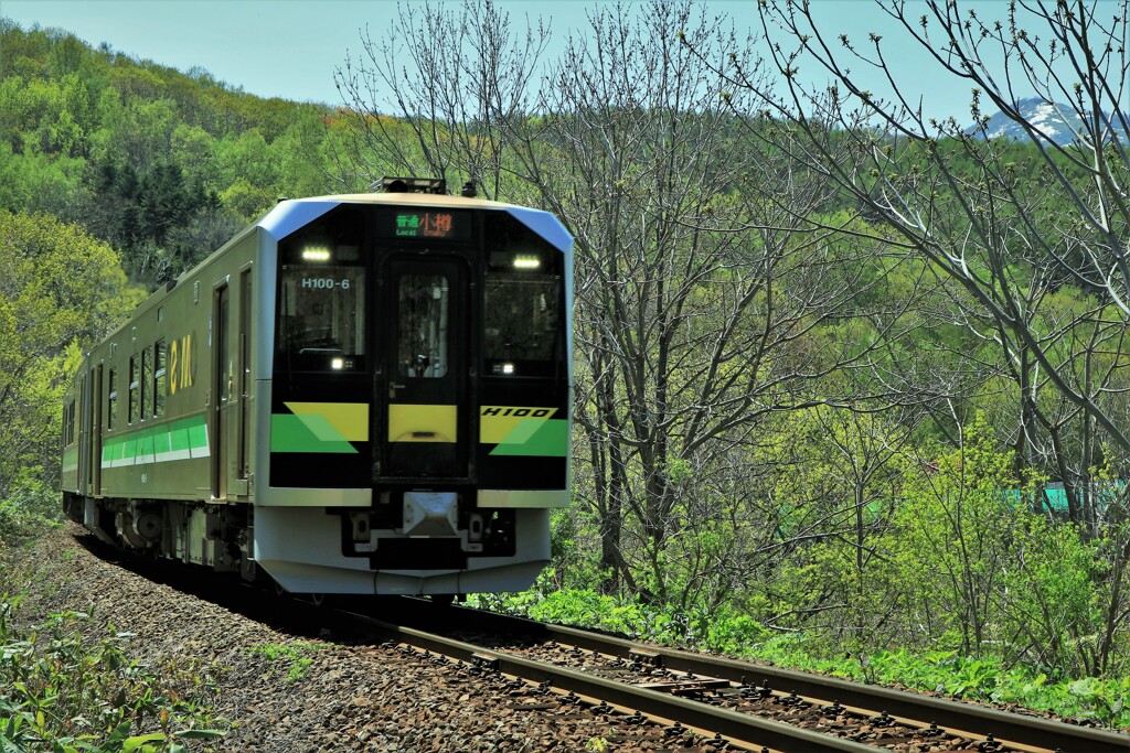 北の旅人(函館本線）