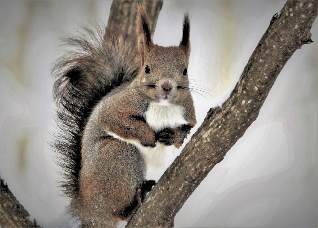 久しぶりだな～