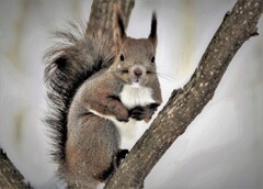 久しぶりだな～