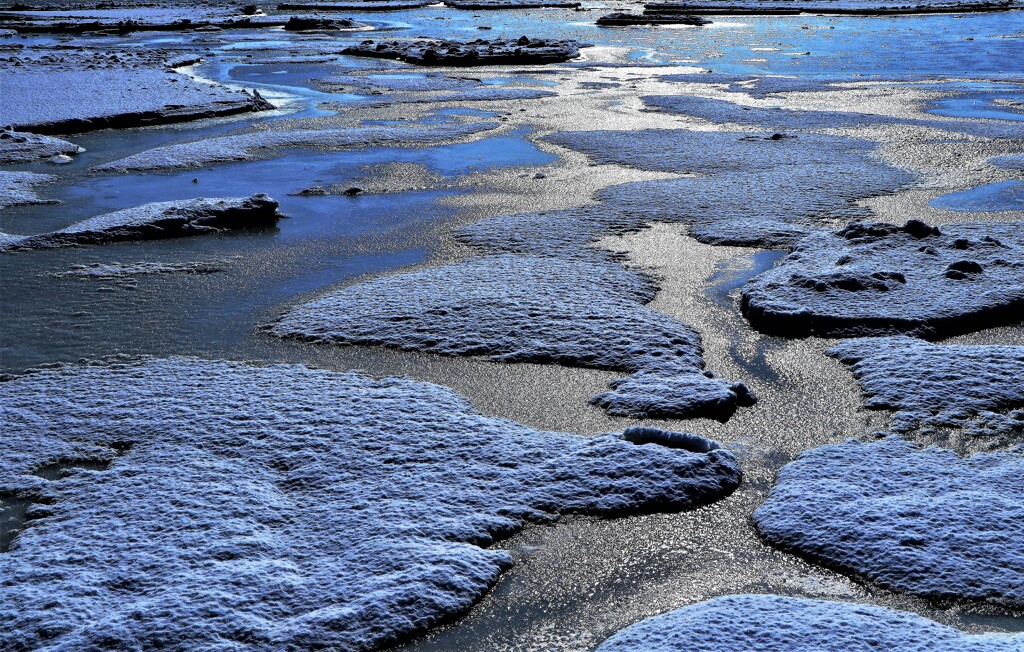 春がやって来る