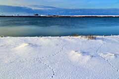 冬石狩川河口(足跡）