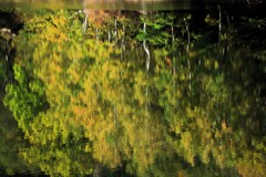 定山渓札幌湖Ⅱ