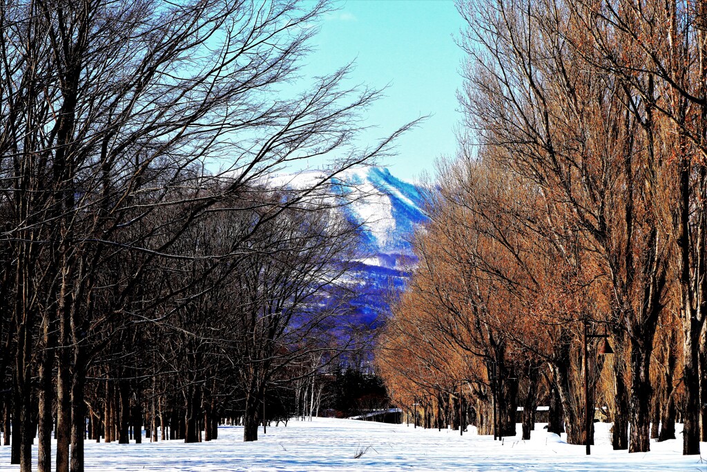 もうすぐ春ですね♪