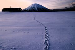 羊蹄山と獣道