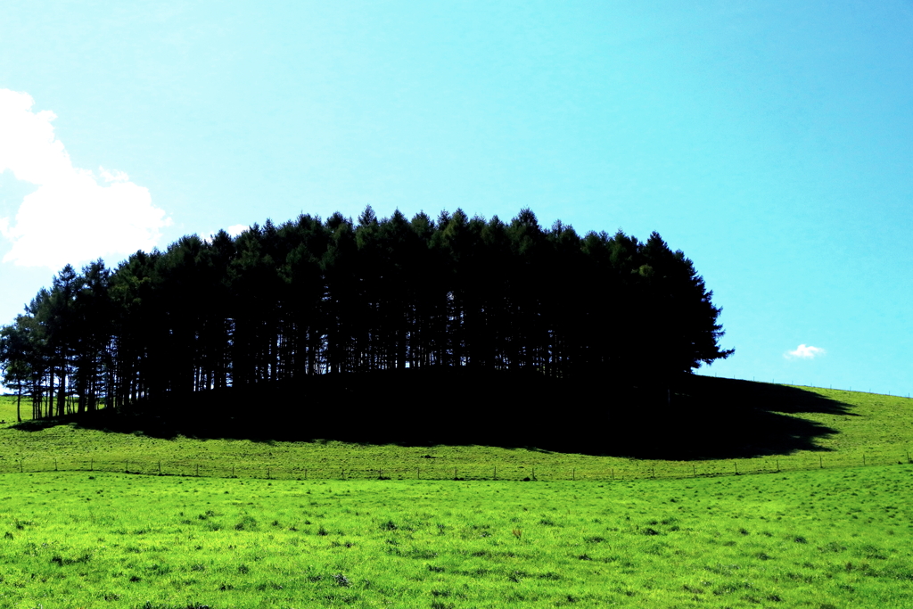 真狩村美原牧場