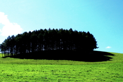 真狩村美原牧場