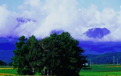 雲間のニセコイワオヌプリ