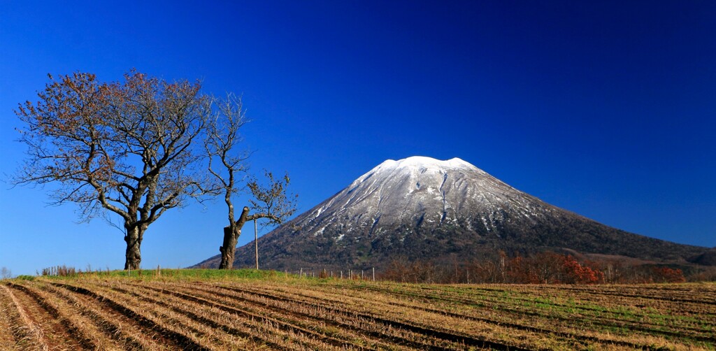 晩秋の羊蹄山（蔵出、再投稿）