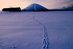 羊蹄山と獣道（蔵出、再投稿）