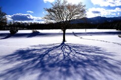 影（蔵出、再投稿）