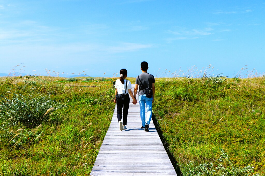 秋がやってくる