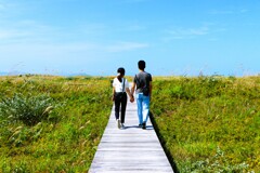 秋がやってくる