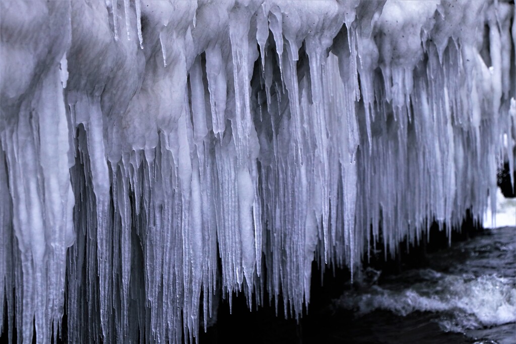 ツララの千本針