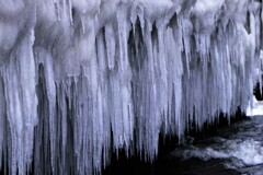 ツララの千本針