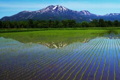 今年も豊作かな～