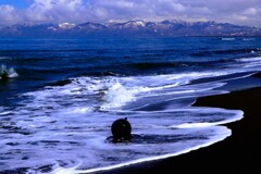 春の波にもまれて