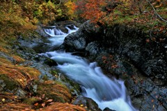 秋定山渓白井川渓流