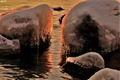 朝陽を浴びて(蔵出再投稿）