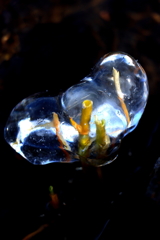 氷宝石 氷宝石
