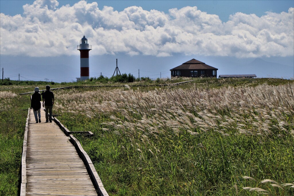 秋がやって来る