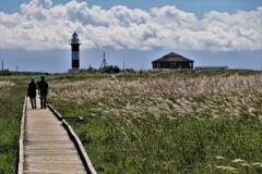 秋がやって来る