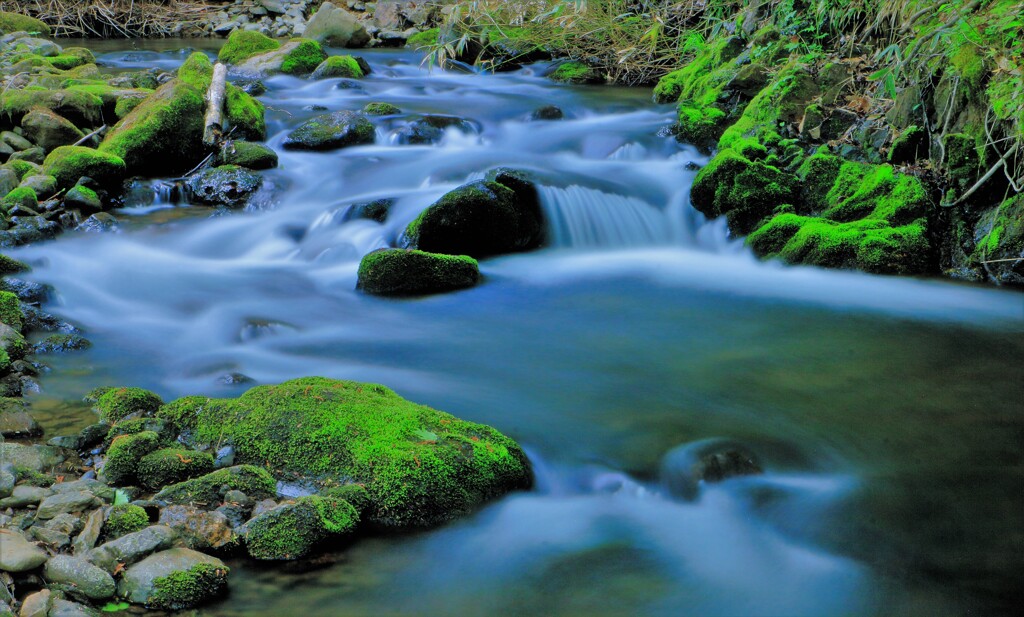新緑と川の流れ