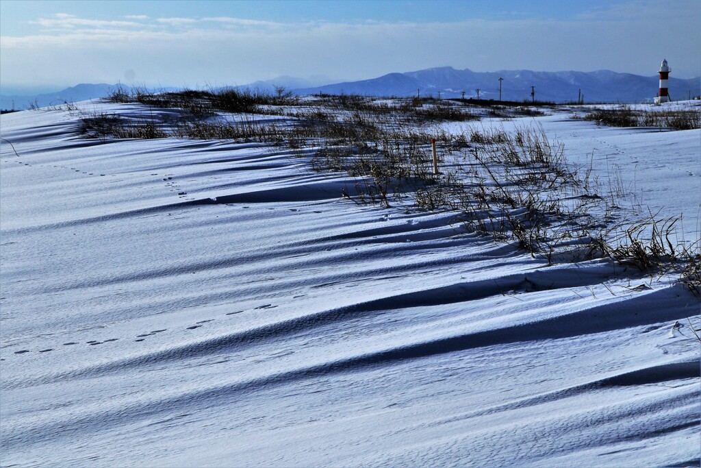 冬のハマナスの丘公園と灯台