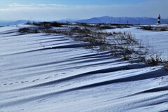 冬のハマナスの丘公園と灯台