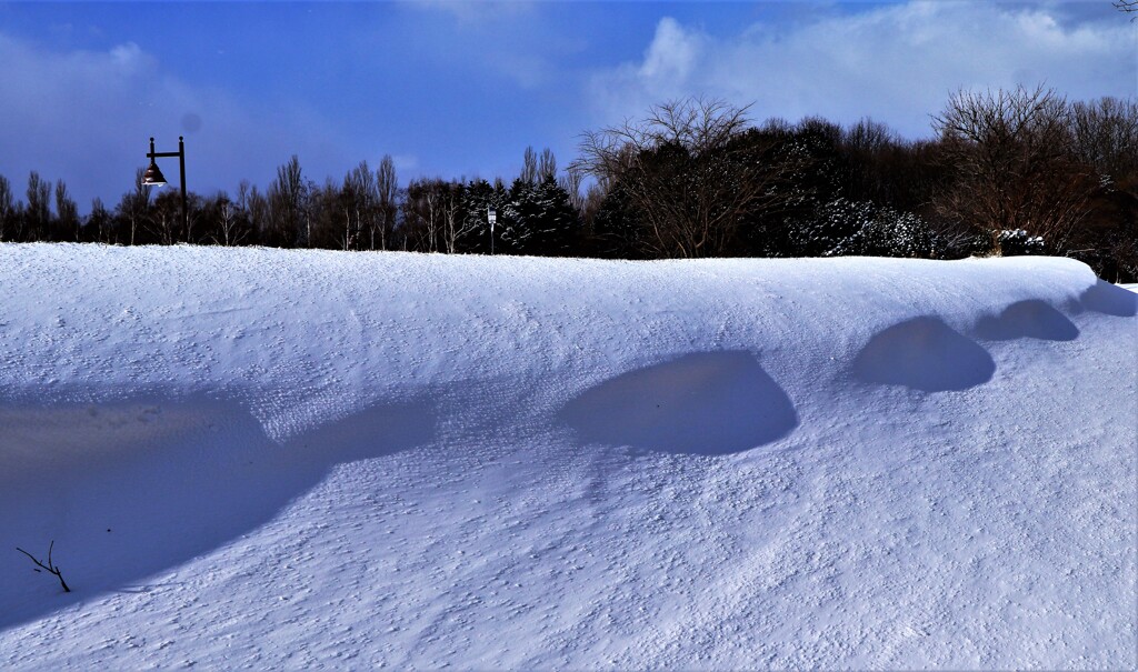 公園の冬景色Ⅰ