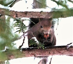 もぐもぐタイム(蔵出）